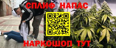 сатива Берёзовский