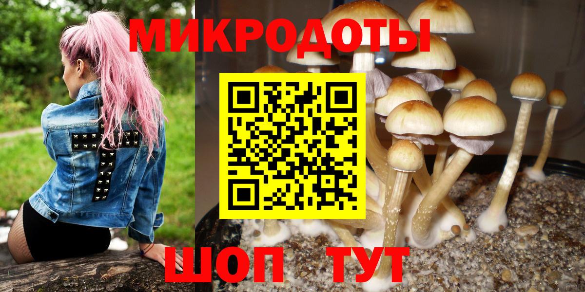 Каменск-Шахтинский  Псилоцибиновые грибы GOLDEN TEACHER  Вход с VPN 